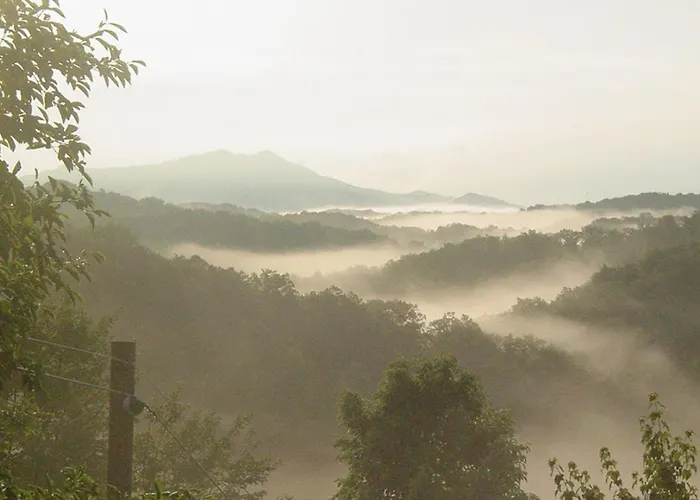 Bella Vista